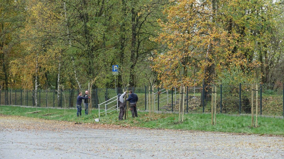 Agencja Rozwoju Nysy posadziła 34 drzewa przy kąpielisku