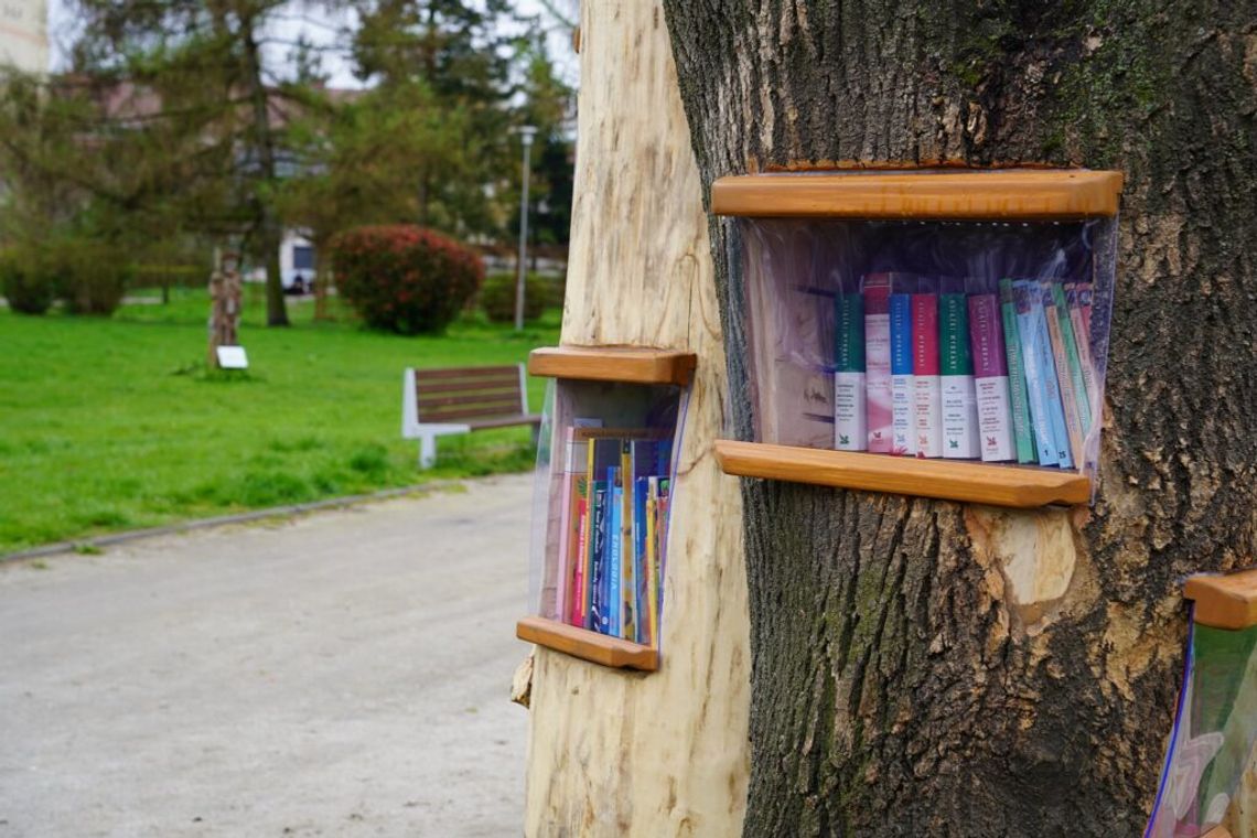 Biblioteka plenerowa już działa!