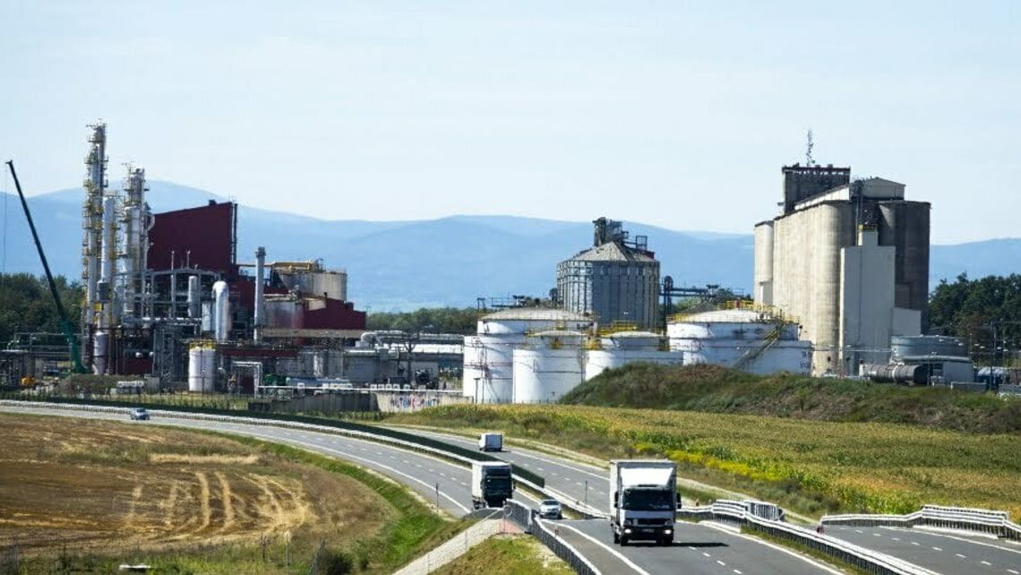 Celnicy w Bioagrze