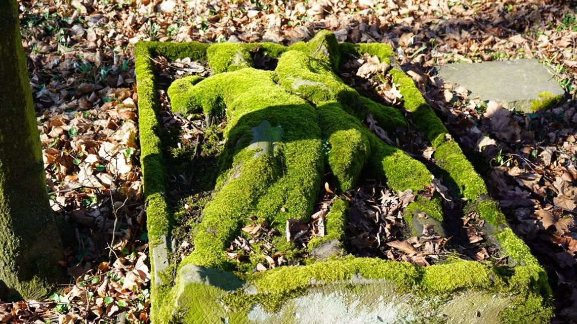 Cmentarz garnizonowy w Nysie - milczący świadek historii