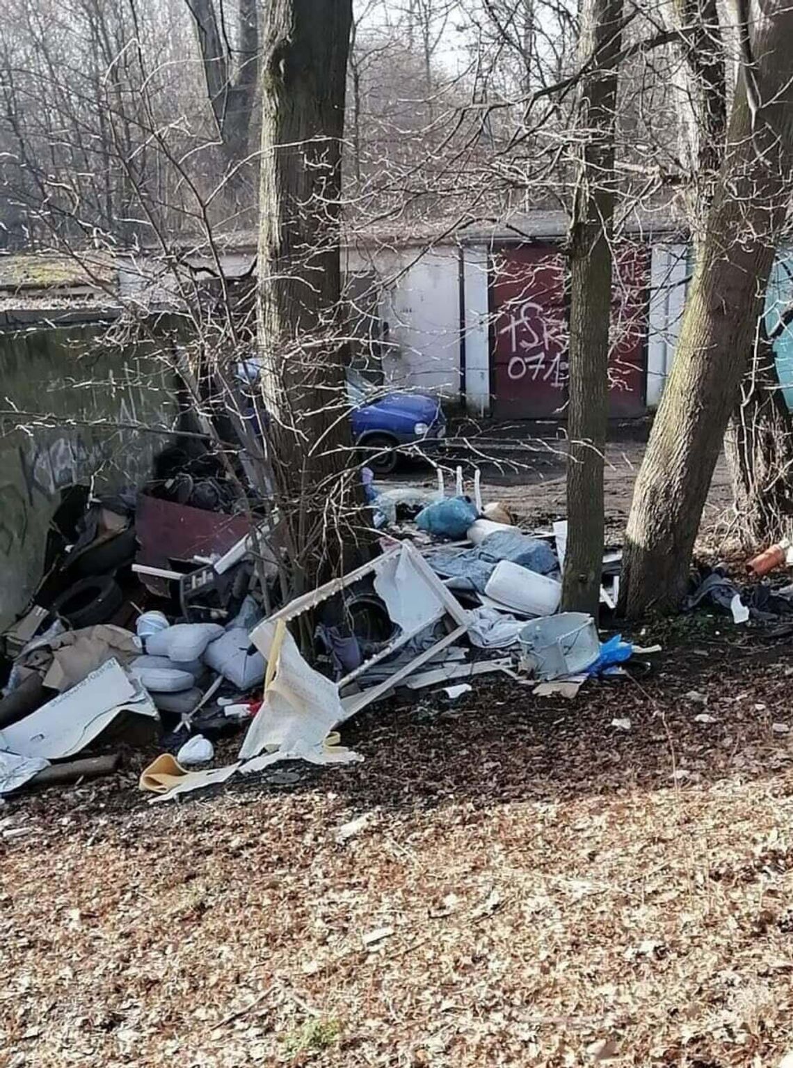 Dlaczego zaśmiecamy własne miasto? - pyta Czytelniczka