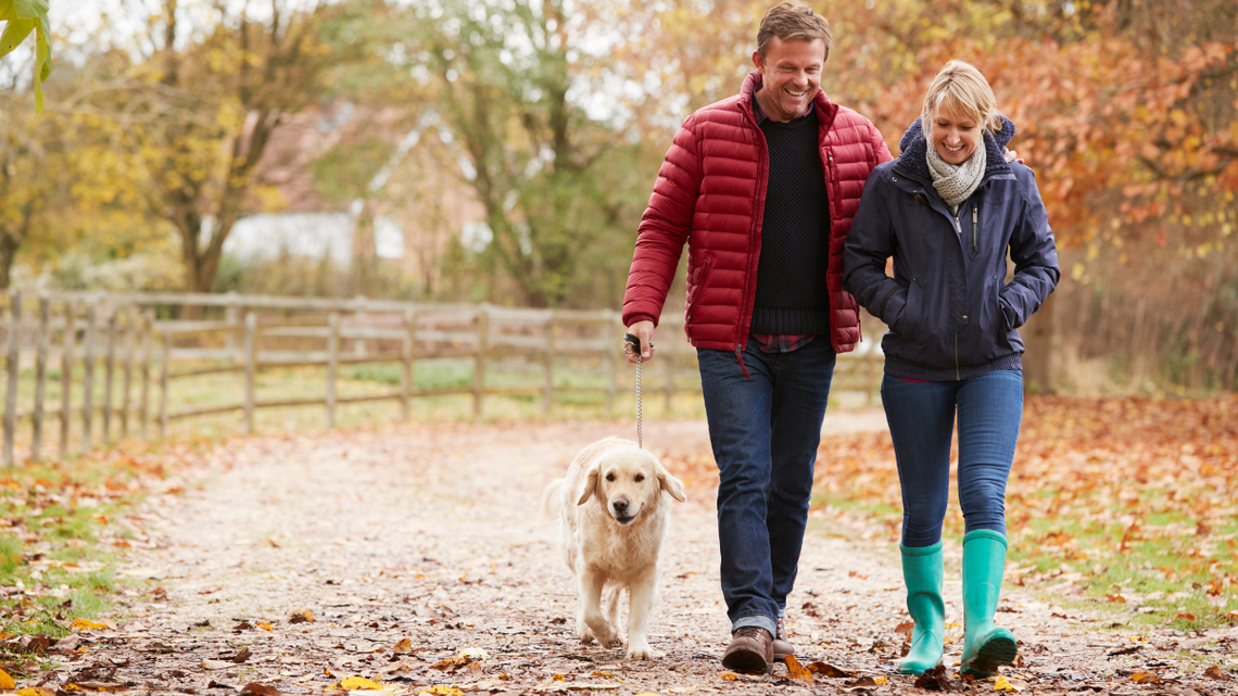 Długi weekend w listopadzie i dużo wolnego w grudniu Długi weekend w listopadzie i dużo wolnego w grudniu