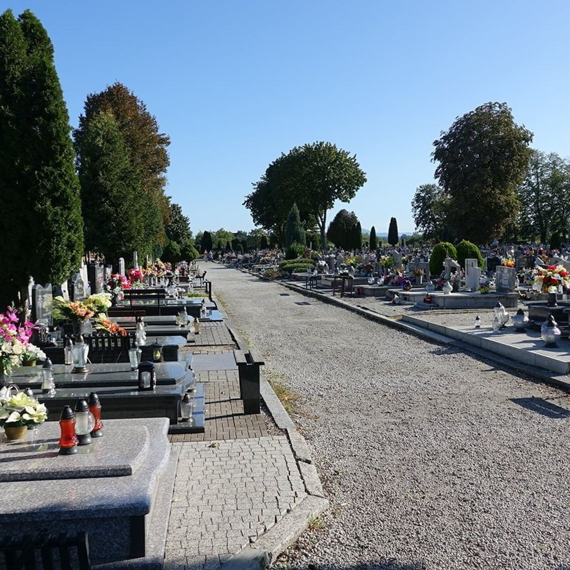 Drastyczny wzrost liczby zgonów w Nysie