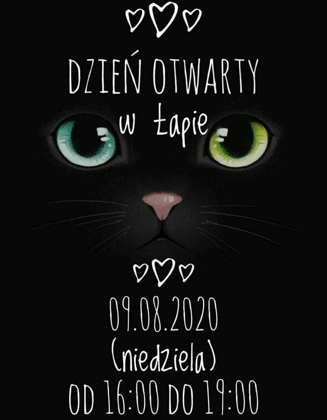 Dzień otwarty w nyskiej ŁAPIE