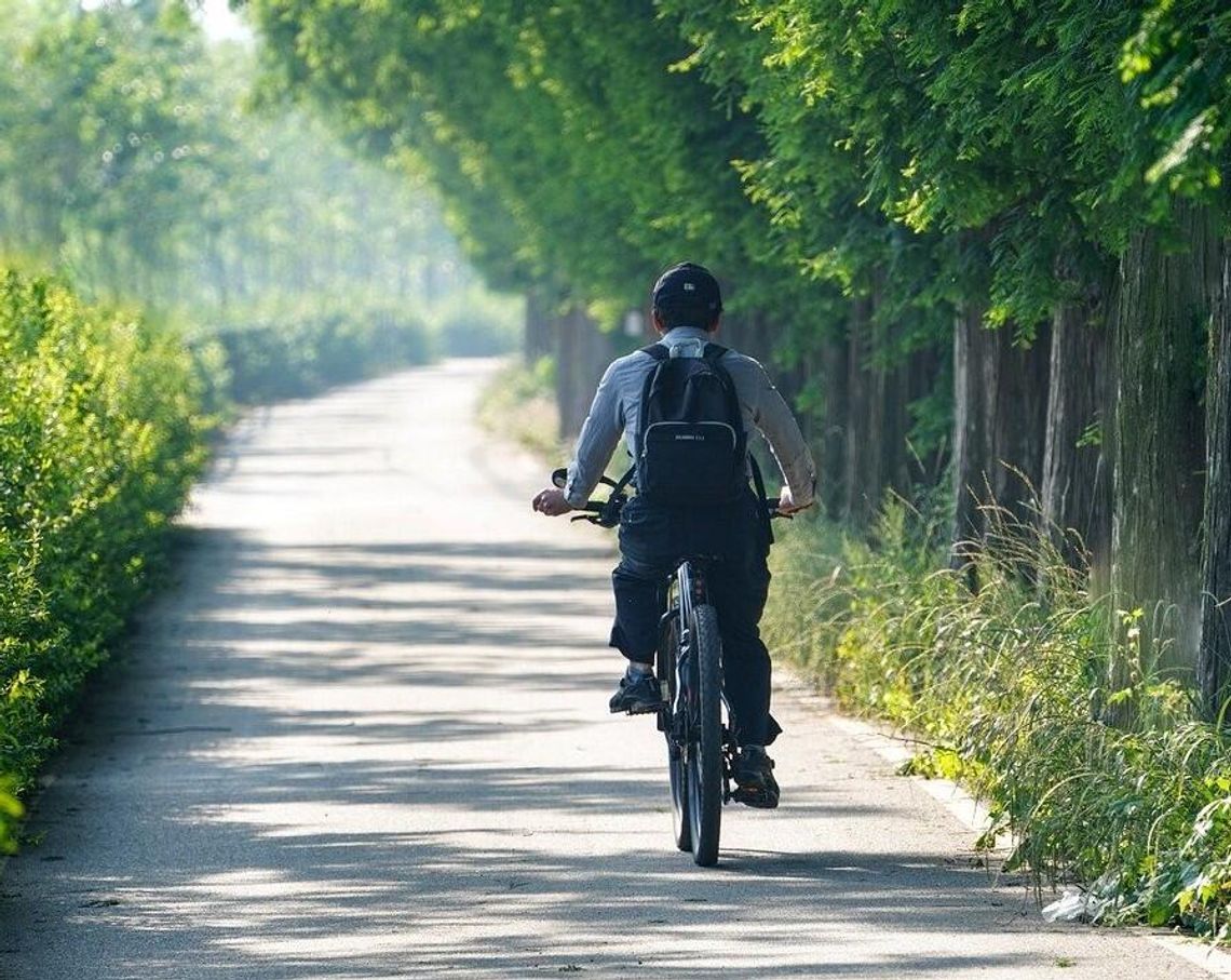 Jechał rowerem zygzakiem... Miał ponad 2,5 promila