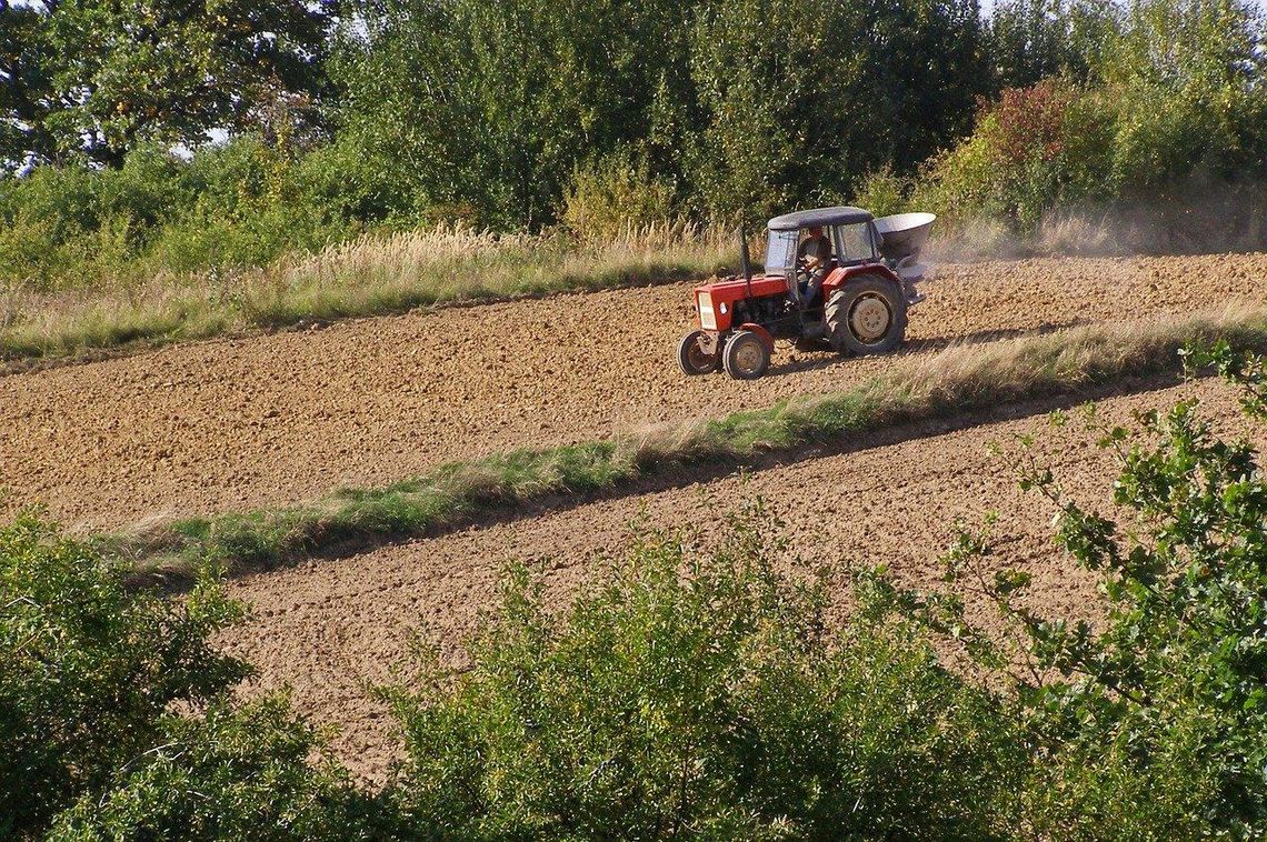 Kobieta straciła palec w czasie prac polowych