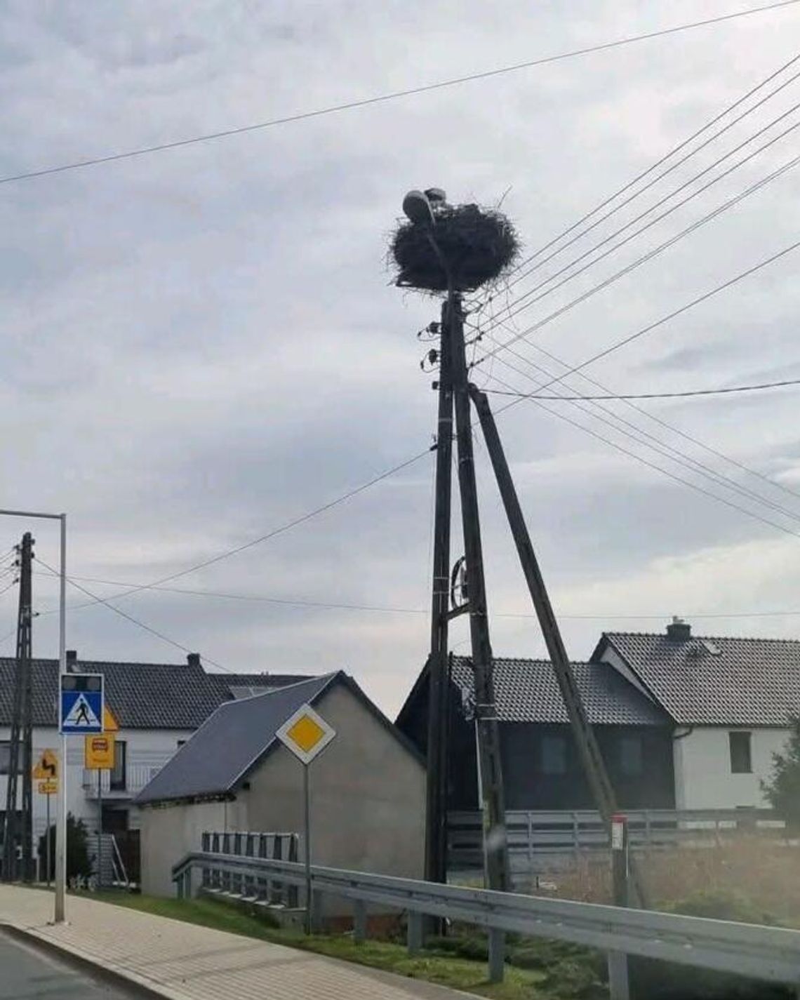 Nietypowa akcja ratunkowa. Stawką było życie bociana