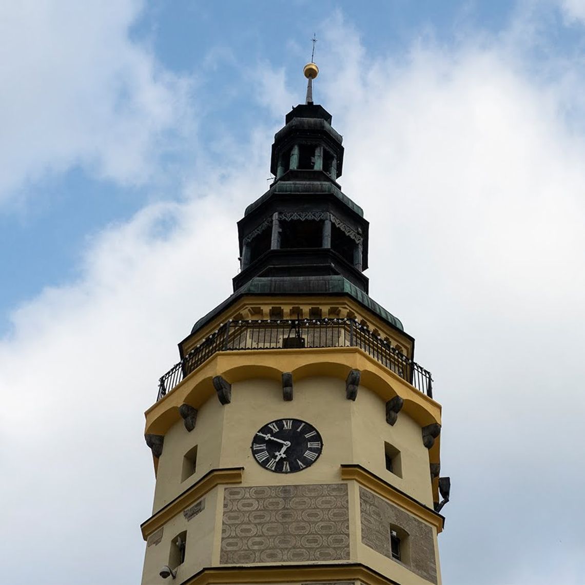 Niezwykli mieszkańcy wieży w Otmuchowie