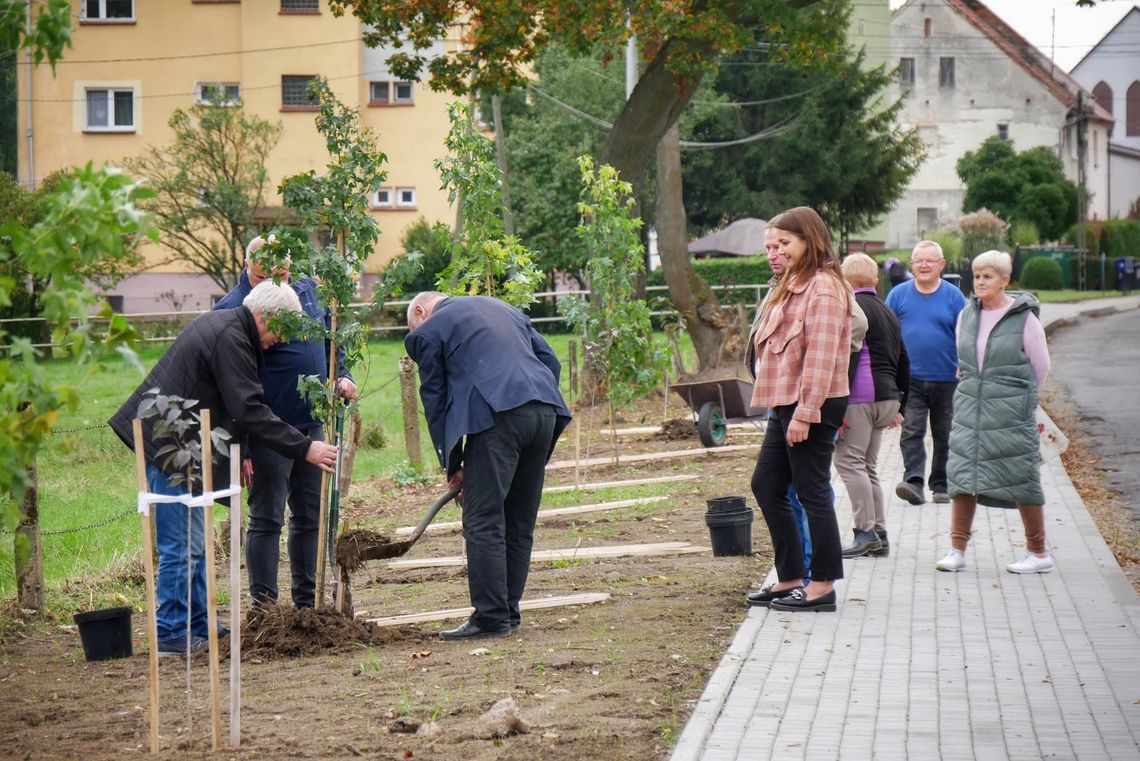 Nowe drzewa w Goworowicach – wspólna inicjatywa mieszkańców i samorządowców Nowe drzewa w Goworowicach – wspólna inicjatywa mieszkańców i samorządowców