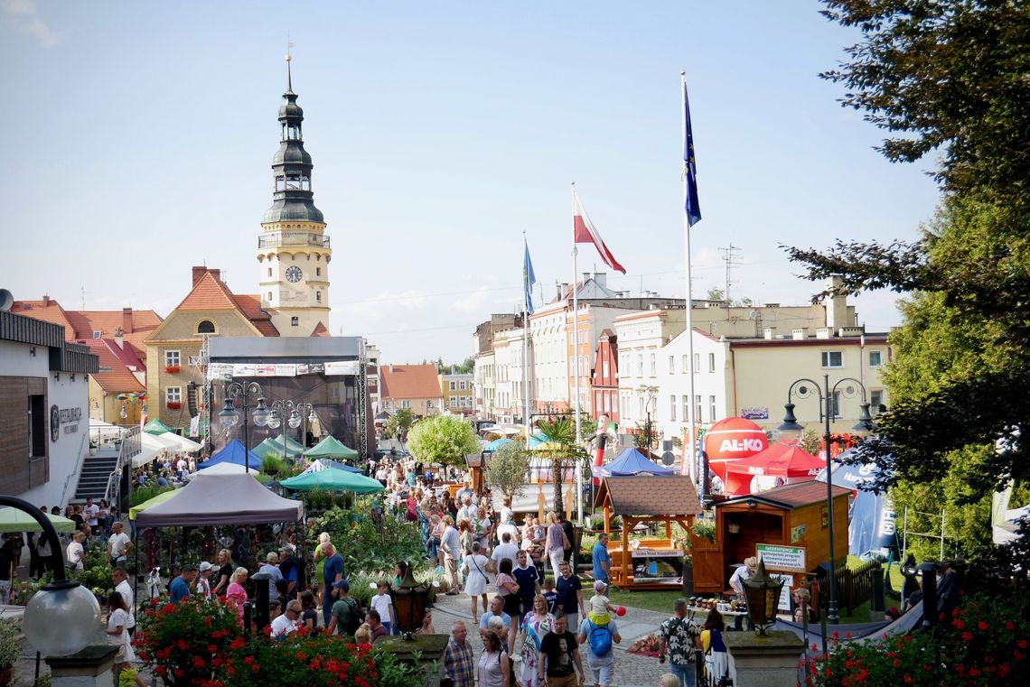 Nowość na Lecie Kwiatów. Będzie wystawa roślin egzotycznych