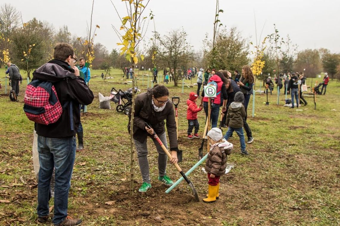 Nysa chce stworzyć "park małych nysan". Wzorem Kraków