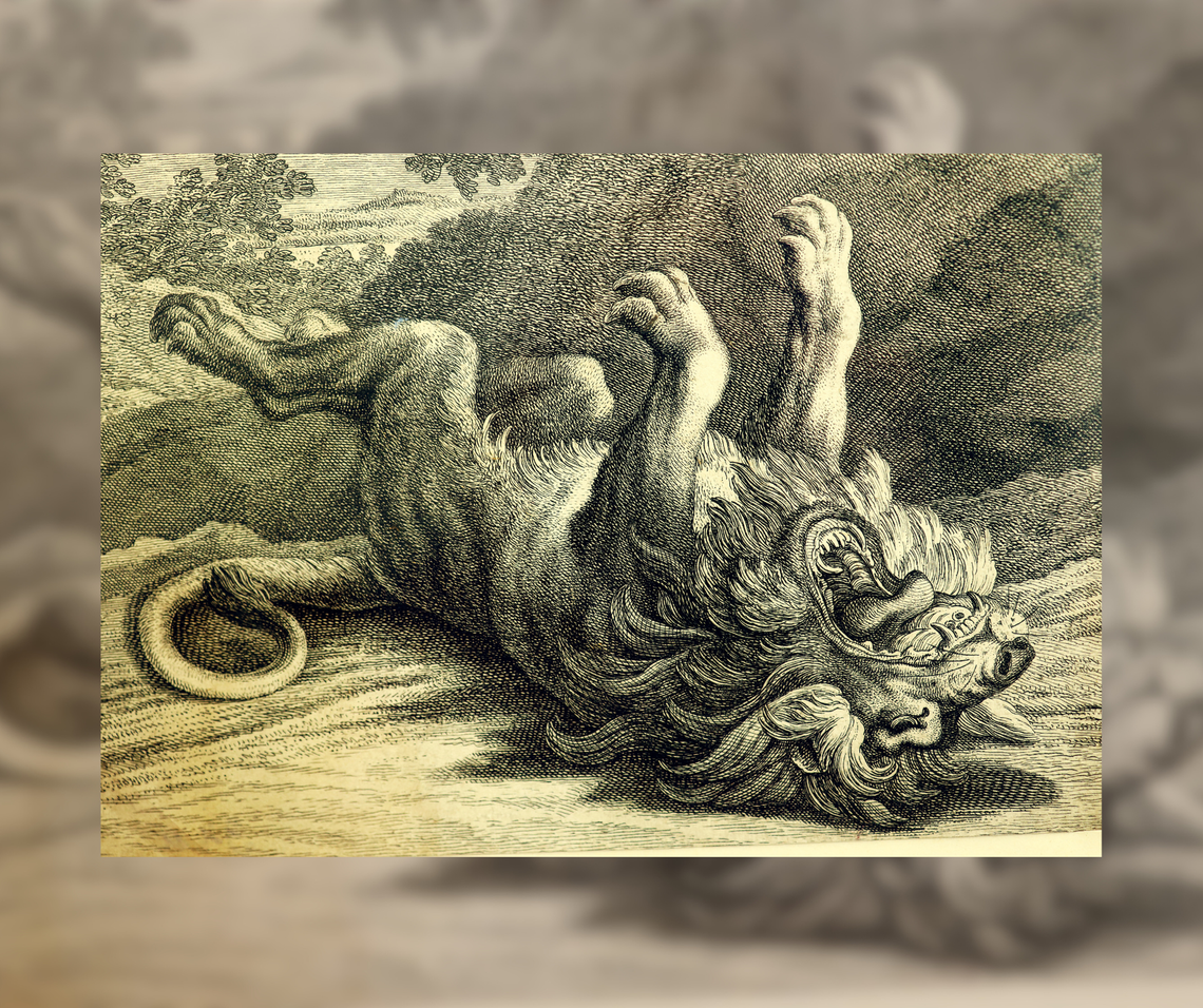 Oprowadzanie kuratorskie w nyskim Muzeum Oprowadzanie kuratorskie w nyskim Muzeum