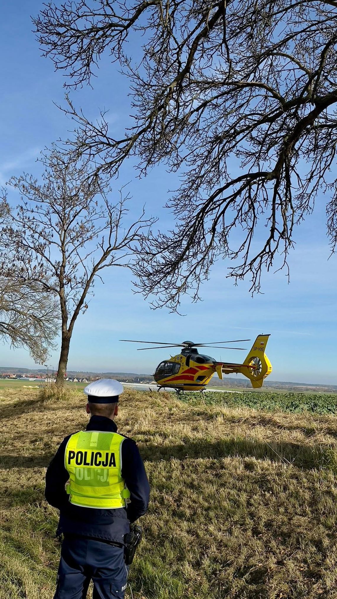 Oślepiony przez słońce kierowca uderzył w drzewo na trasie Pakosławice–Sidzina