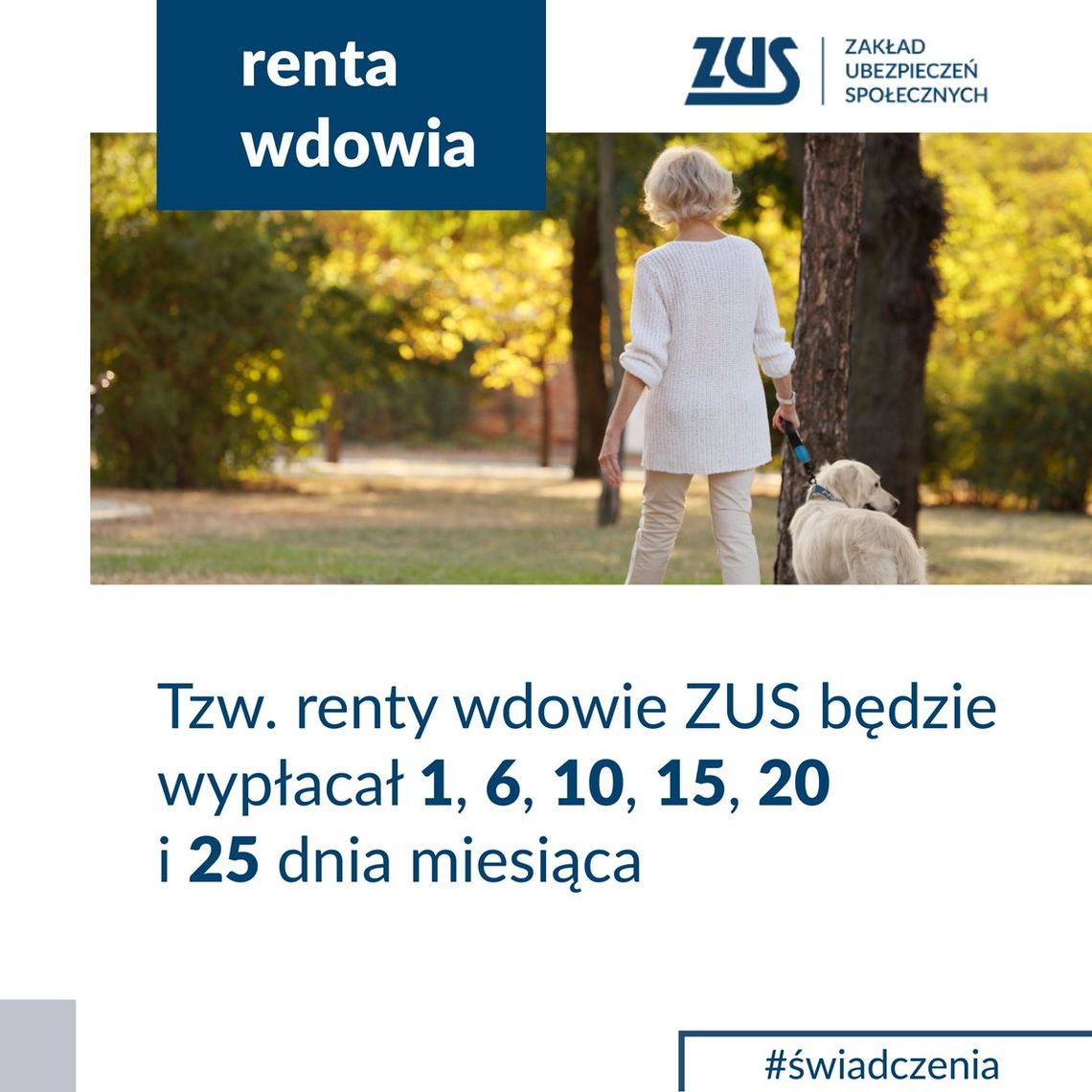 Pierwsi mieszkańcy Opolszczyzny dostali rentę wdowią. ZUS rusza z wypłatami