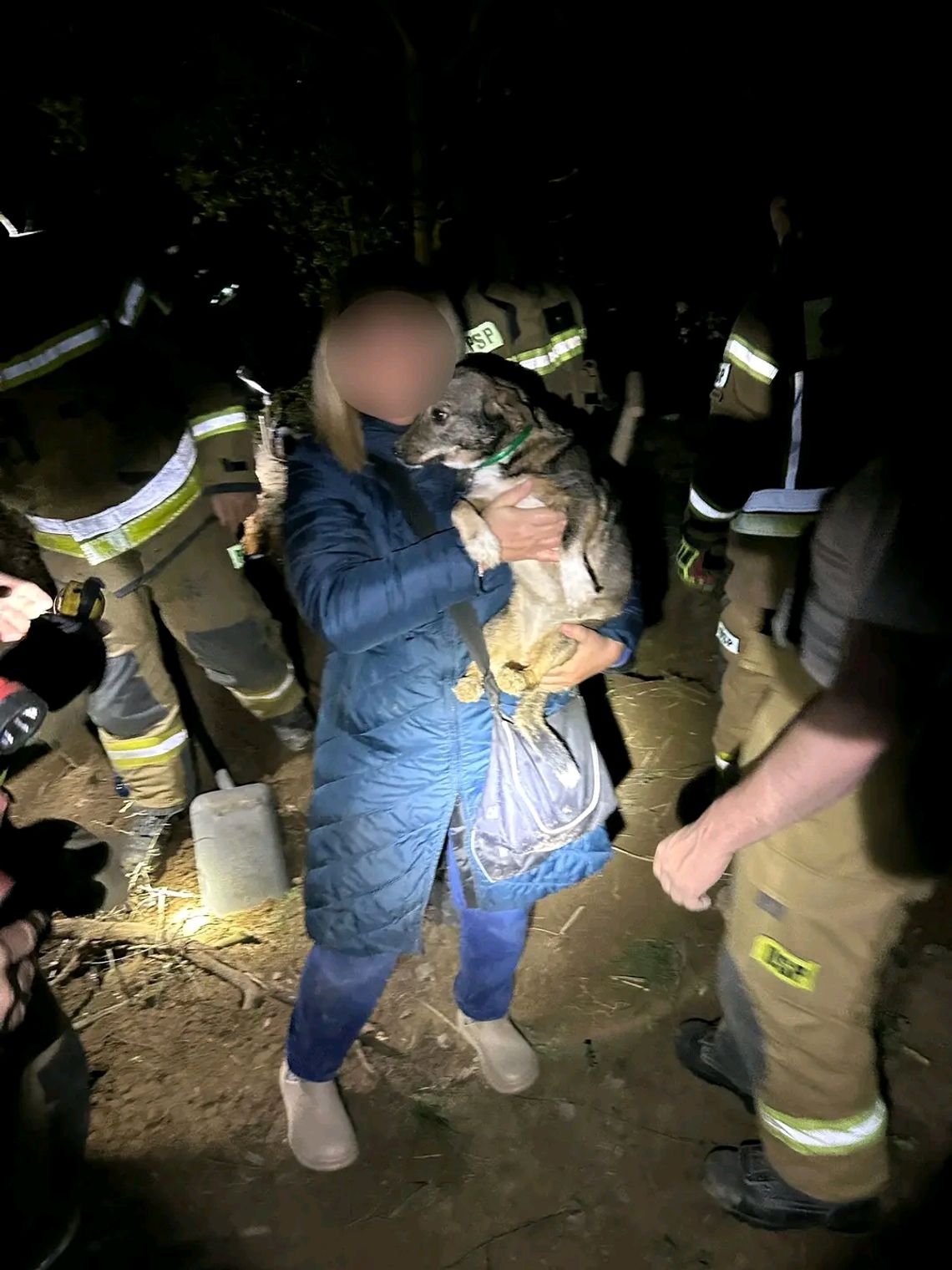 Pies uwięziony pod ziemią. Strażacy ruszyli na pomoc