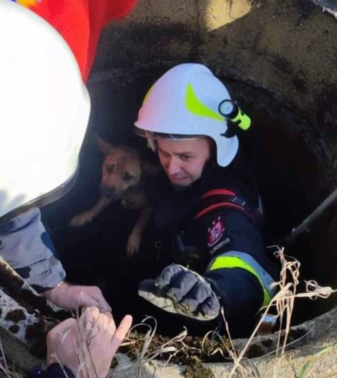 Piesek wpadł do studni. Strażacy ruszyli na pomoc