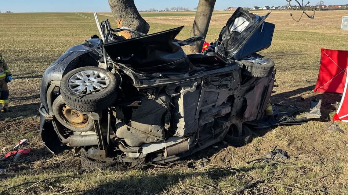 Policja o przyczynach tragicznego wypadku na trasie Jędrzychów-Goświnowice