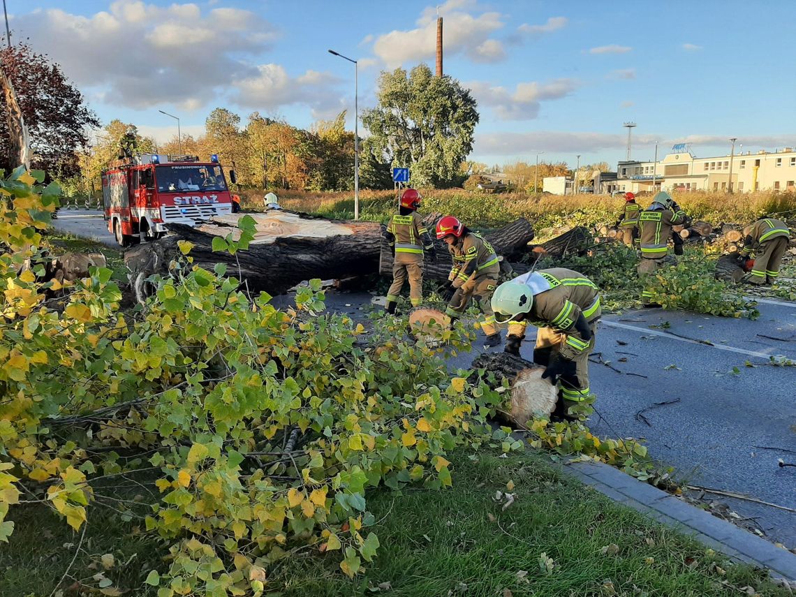 Powalone drzewa i linie energetyczne w całym mieście. Lepiej nie wychodzić z domu