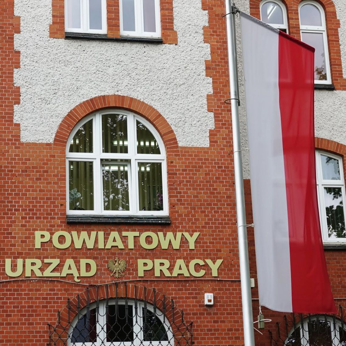 Powiatowy Urząd Pracy zachęca do internetowej rejestracji