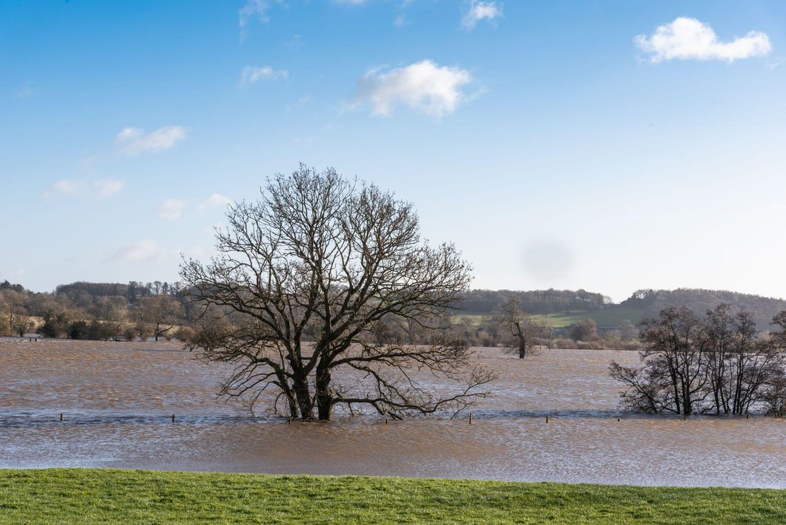 Prudnik przed trudną decyzją: Wody Polskie chcą wykupić cztery kamienice. 28 rodzin czeka na nowe domy Prudnik przed trudną decyzją: Wody Polskie chcą wykupić cztery kamienice. 28 rodzin czeka na nowe domy