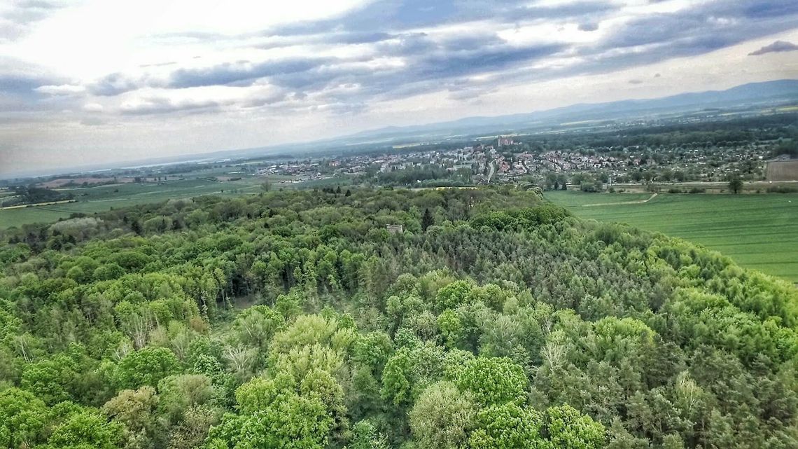 Rozpoczęła się rewitalizacja parków miejskich w Otmuchowie