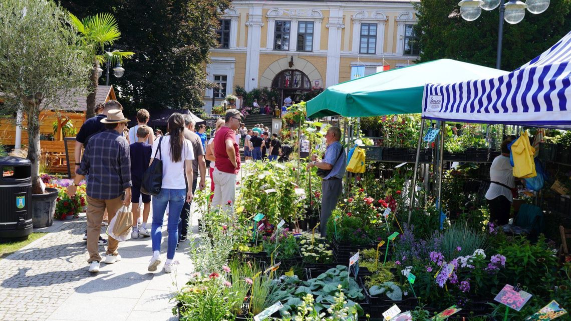 Rusza największa impreza florystyczna w południowej Polsce! Lato Kwiatów już od piątku w Otmuchowie!