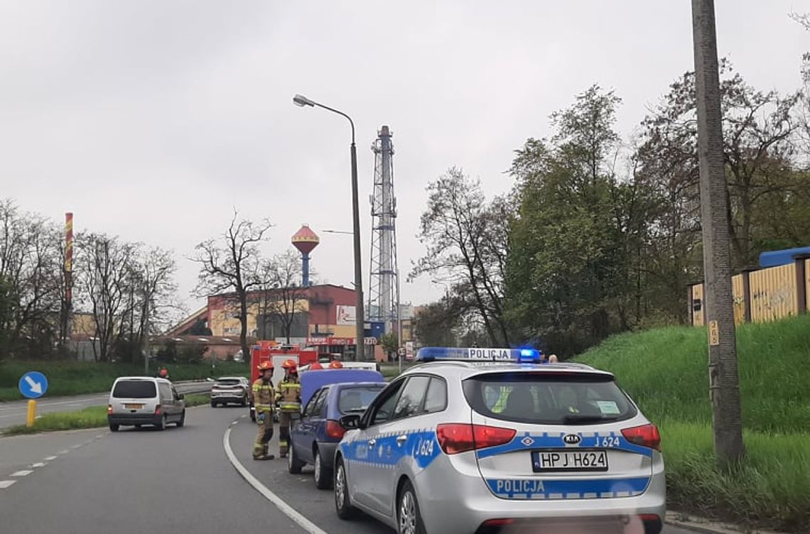 Sarna wybiegła na drogę. Kolizja na Jagiellońskiej