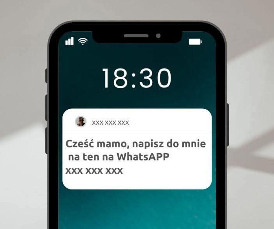 Seniorka wysłała kody BLIK „synowi”. Z konta zniknęło 6 tysięcy złotych