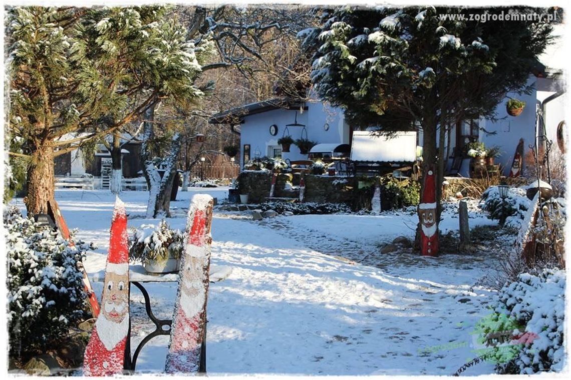 Śnieg w ogrodzie - kłopot czy sprzymierzeniec?