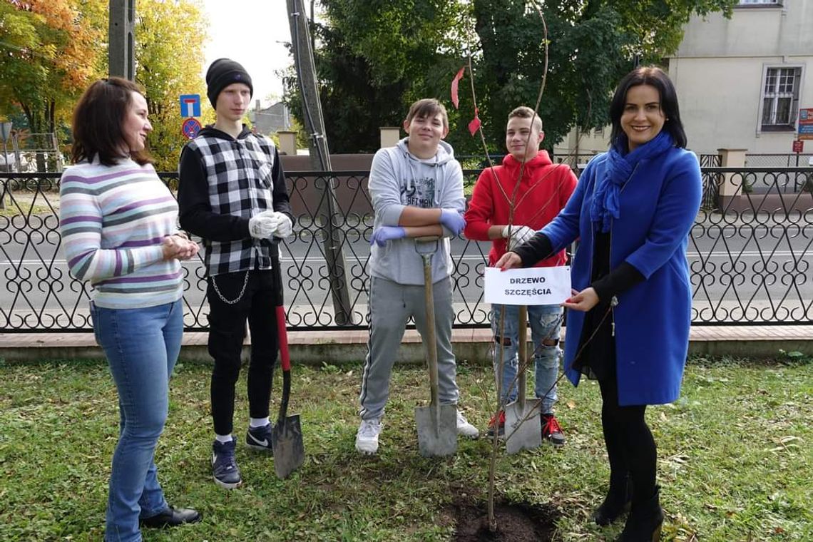 Starostwo znów sadzi drzewa. Kolejny etap akcji