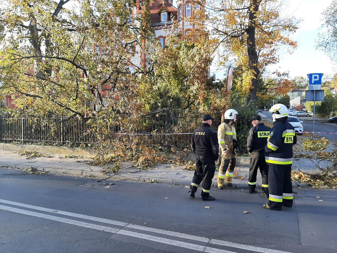 Strażacy interweniowali już ponad 100 razy!