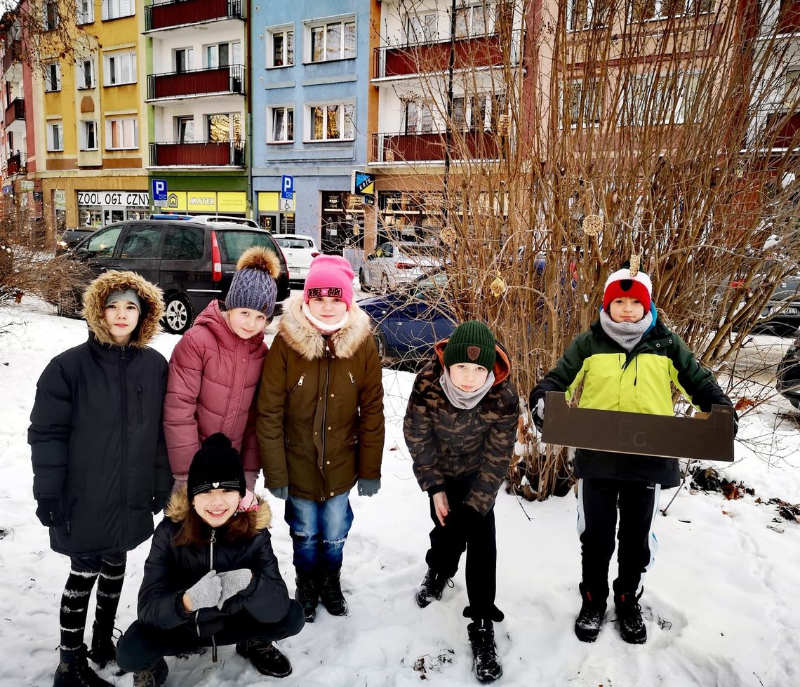 Uczniowie SP 1 w Nysie regularnie dokarmiają ptaki w szkolnych karmnikach