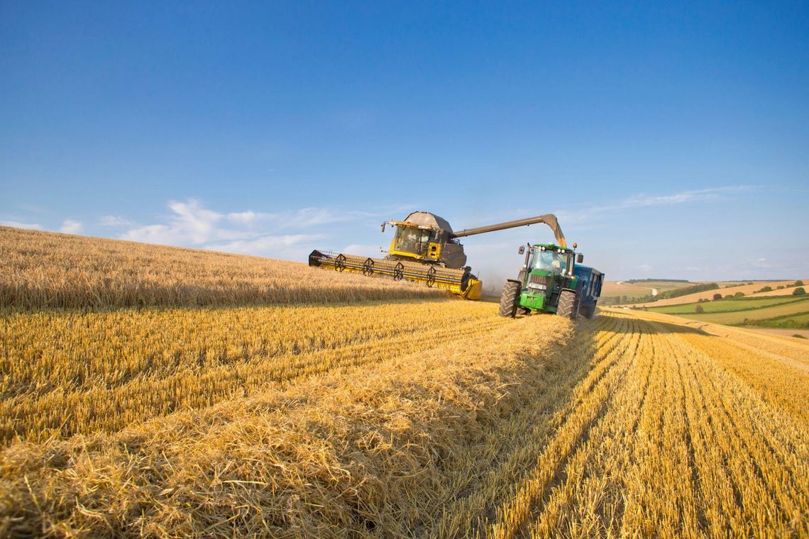 UE–Mercosur: posłowie chcą opinii prawnej o zgodności umowy z Traktatami UE