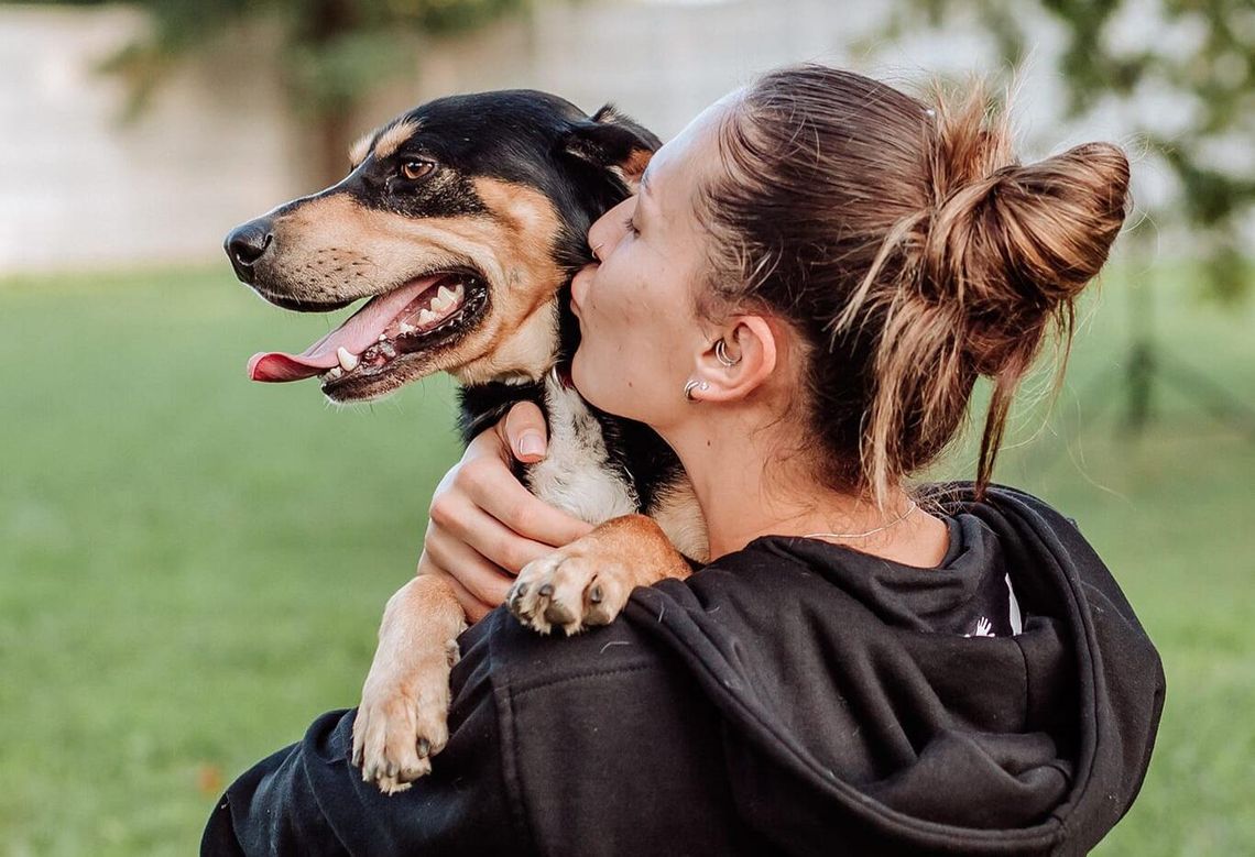 Urocze psiaki do adopcji! Kolejna świetna akcja w Schronisku