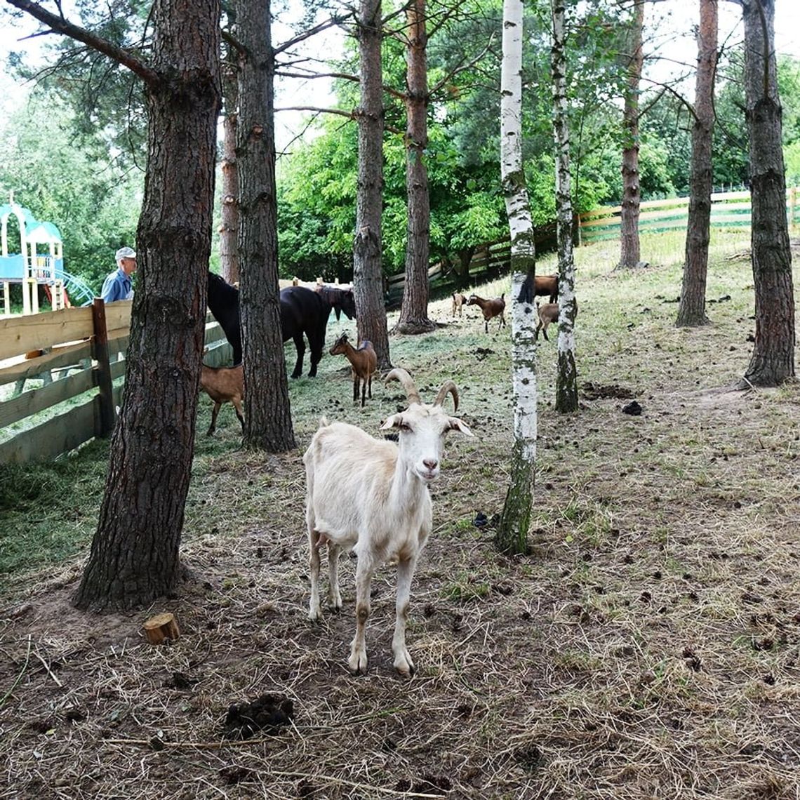 W Otmuchowie będą 2 mini zoo!