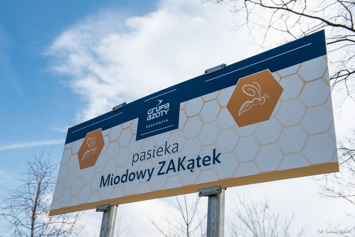 W pasiece „Miodowy ZAKątek” przyroda powoli budzi się do życia