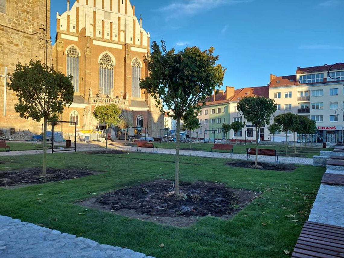 W Rynku coraz bardziej zielono! A to nie koniec