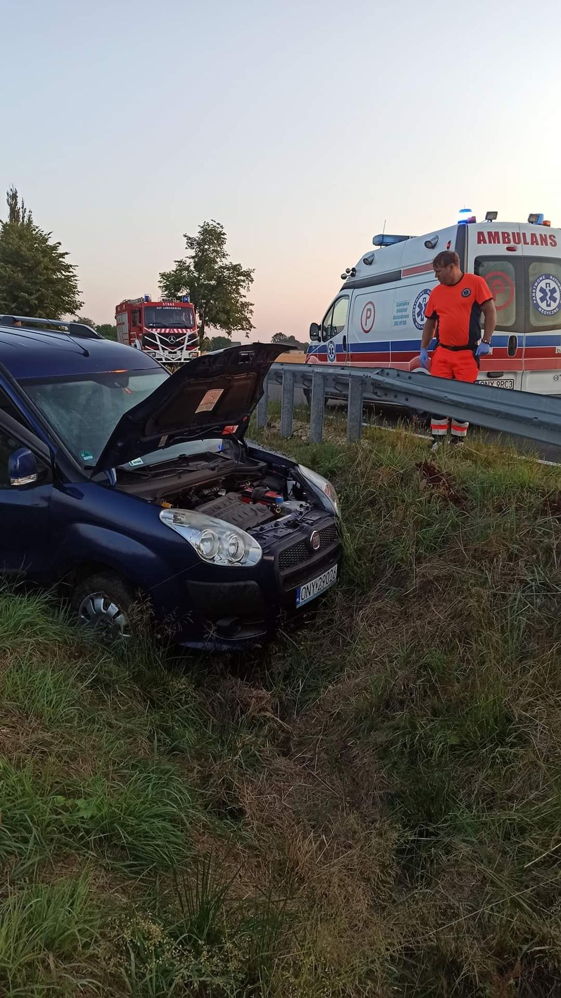 Zderzenie dwóch samochodów. Sarna wtargnęła na drogę