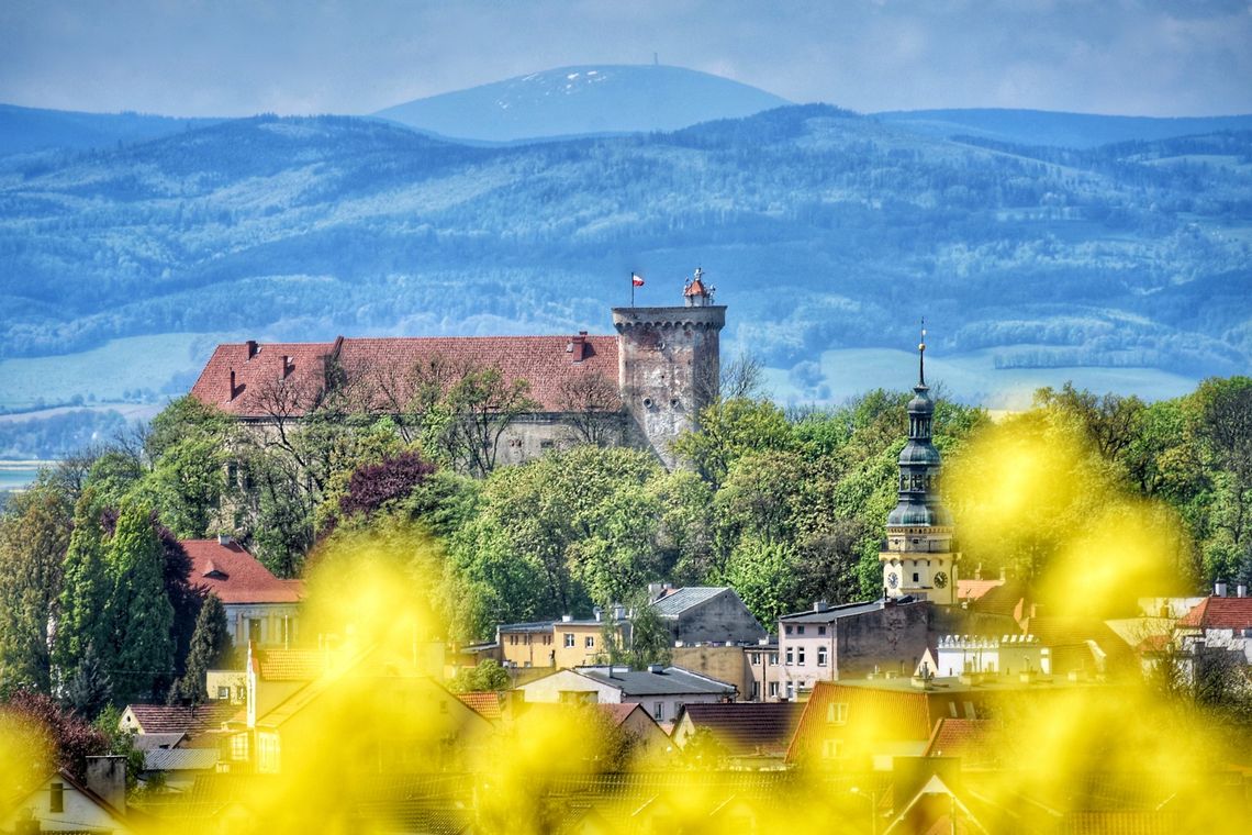 Zmiana organizacji ruchu na Lato Kwiatów!