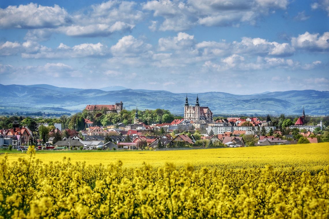 Znamy szczegółowy repertuar 50. Lata Kwiatów w Otmuchowie!